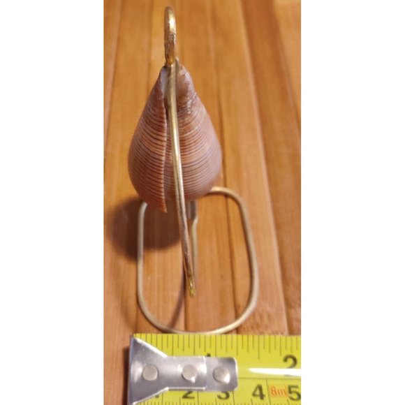 Brown Fig Cone Conus Figulinus Seashell Hanging Display Nautical Decor 3.5x3x1.5 - Picture 6 of 13